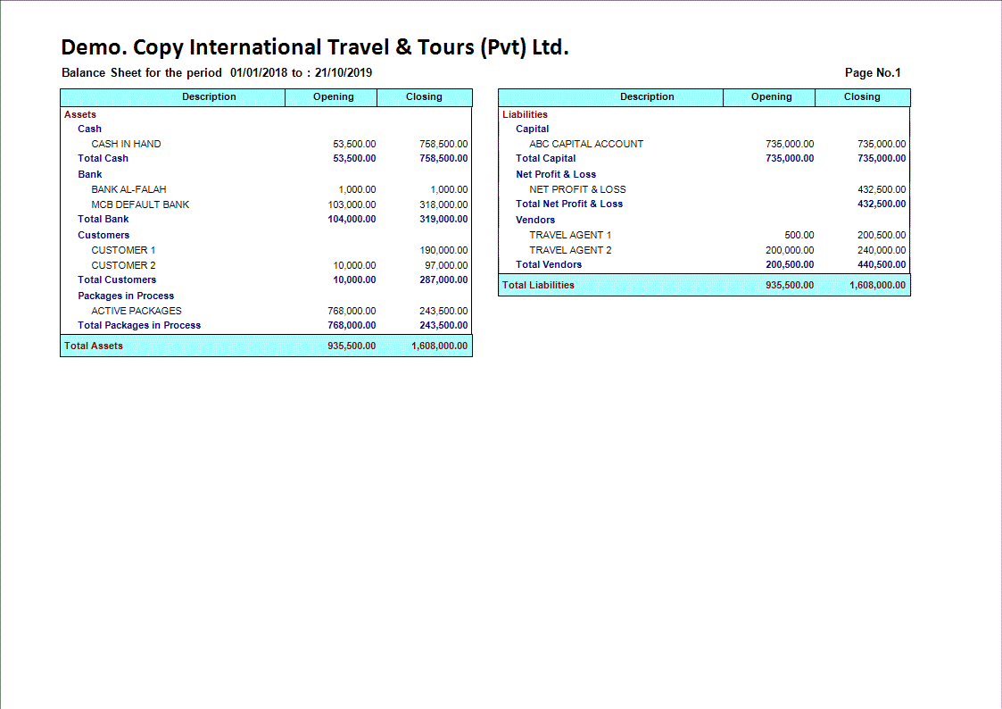 Travel Agency Financial Balance Sheet